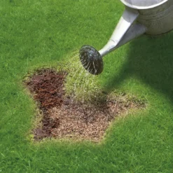 Miracle-Gro Patch Magic Grass Seed, Feed & Coir - 10 Patch Jug 9 Miracle-Gro Patch Magic Grass Seed, Feed & Coir - 10 Patch Jug -Garden Care Shop 12809397 7204927299156486