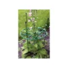 Plant Support Ring -Garden Care Shop 12809611 1334831954034592
