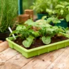 Seed Trays (Pack Of 4) -Garden Care Shop 12813215 1605037974365701