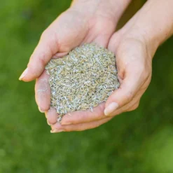 Westland Safe Lawn Natural Lawn Feed - 150m² -Garden Care Shop 12814336 1595061828066483