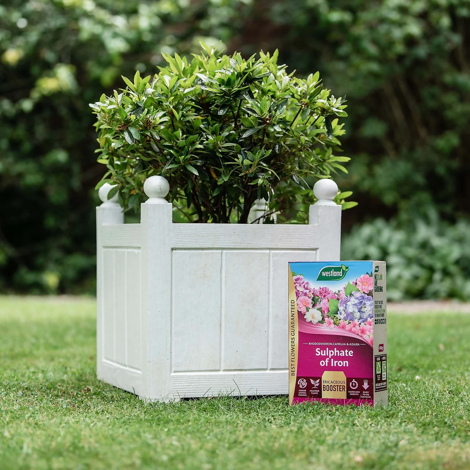 Westland Sulphate Of Iron - 1.5kg 4 Westland Sulphate Of Iron - 1.5kg - Image 2