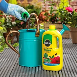 Miracle-Gro All Purpose Concentrated Liquid Plant Food - 1L -Garden Care Shop 12819549 1144832990379429
