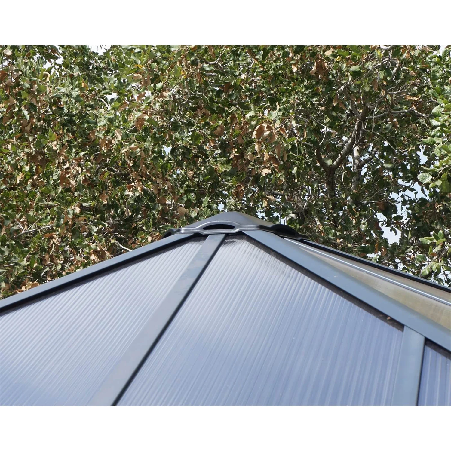 Palram - Canopia Garda Garden Conservatory Grey Bronze 7 Palram - Canopia Garda Garden Conservatory Grey Bronze - Image 5