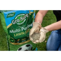 Gro-Sure Multi-Purpose Lawn Seed 375m² 7 Gro-Sure Multi-Purpose Lawn Seed 375m² -Garden Care Shop 12833526 1414925482132785