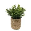 Milan Leaves In Rattan Basket -Garden Care Shop 12837624 1174831968703122