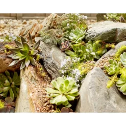 Stylish Stone Rustic Slate Rockery -Garden Care Shop 12875997 6334849696657587