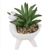 Artificial Alpaca Spikey Succulent 1 Artificial Alpaca Spikey Succulent -Garden Care Shop 12879279 1444858347936702