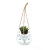 Novelty Animal Hanging Planter - Fox