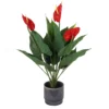 Artificial Anthurium In Ceramic Pot -Garden Care Shop 12879283 2014858347935955