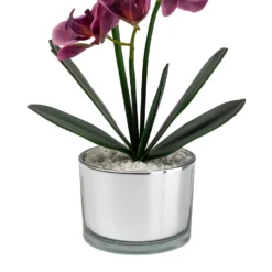 Orchid With Silver Glass Pot - Purple -Garden Care Shop 12879285 1054864281948609