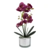 Orchid With Silver Glass Pot - Purple -Garden Care Shop 12879285 1854864281873732