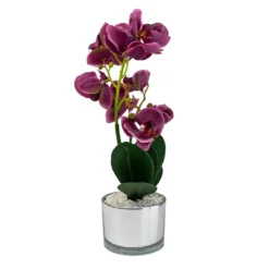 Orchid With Silver Glass Pot - Purple -Garden Care Shop 12879285 4804864281923592