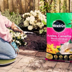 Miracle Gro Premium Azalea, Camellia & Rhododendron Ericaceous Compost - 40L -Garden Care Shop 12882812 1004843671886080