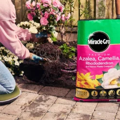 Miracle Gro Premium Azalea, Camellia & Rhododendron Ericaceous Compost - 40L -Garden Care Shop 12882812 1924843671918789
