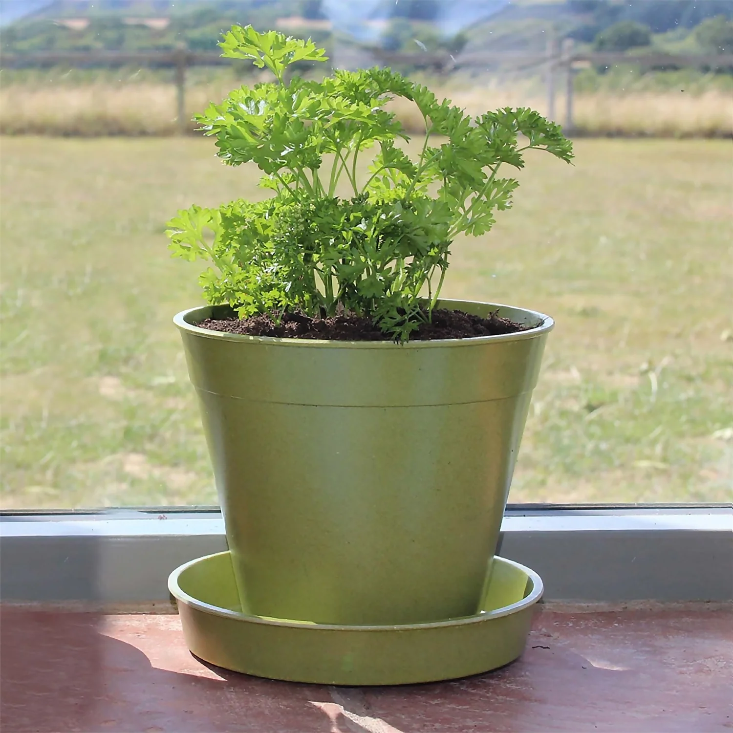 8in Bamboo Saucer Single Sage Green 4 8in Bamboo Saucer Single Sage Green - Image 2
