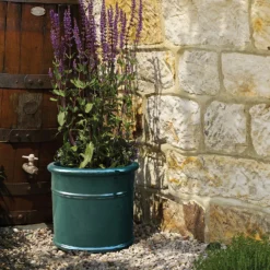 Malay Cylinder - 25cm -Garden Care Shop 12885717 1764933182270387