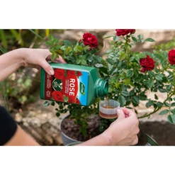 Westland Rose Specialist Liquid Plant Food Concentrate - 1l 14 Westland Rose Specialist Liquid Plant Food Concentrate - 1l -Garden Care Shop 12886481 7044936610878716