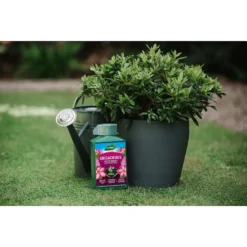 Westland Ericaceous Specialist Feed - 1l 11 Westland Ericaceous Specialist Feed - 1l -Garden Care Shop 12886482 6714971590616774