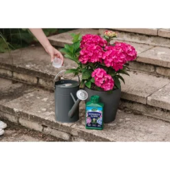 Westland Hydrangea Feed - 1l -Garden Care Shop 12886486 1744971590629542