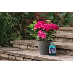 Westland Hydrangea Feed - 1l -Garden Care Shop 12886486 5014971590603901