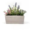 Flocking Lavender In Wooden Case -Garden Care Shop 12887111 1274843708826904