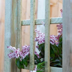 Mercia Curved Arch -Garden Care Shop 12888302 6134849860614286