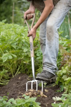 Spear & Jackson Traditional Stainless Digging Fork 15 Spear & Jackson Traditional Stainless Digging Fork -Garden Care Shop 12904675 1274851072244143