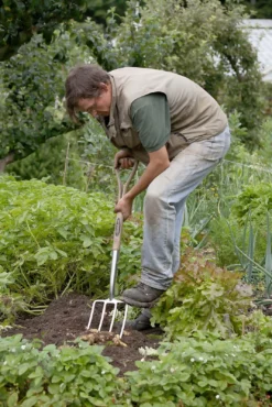 Spear & Jackson Traditional Stainless Digging Fork 14 Spear & Jackson Traditional Stainless Digging Fork -Garden Care Shop 12904675 2754851072222033