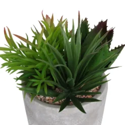 Mixed Succulent In Grey Pot -Garden Care Shop 12909503 1064869235639350