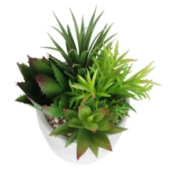 Mixed Succulent In Grey Pot -Garden Care Shop 12909503 2024869235594281