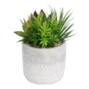 Mixed Succulent In Grey Pot -Garden Care Shop 12909503 7774869235513008