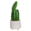 Cactus In Textured Pot -Garden Care Shop 12909506 1524869235473324
