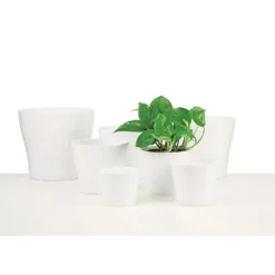 White Plant Pot - 21cm 6 White Plant Pot - 21cm -Garden Care Shop 12912143 9864845829381689