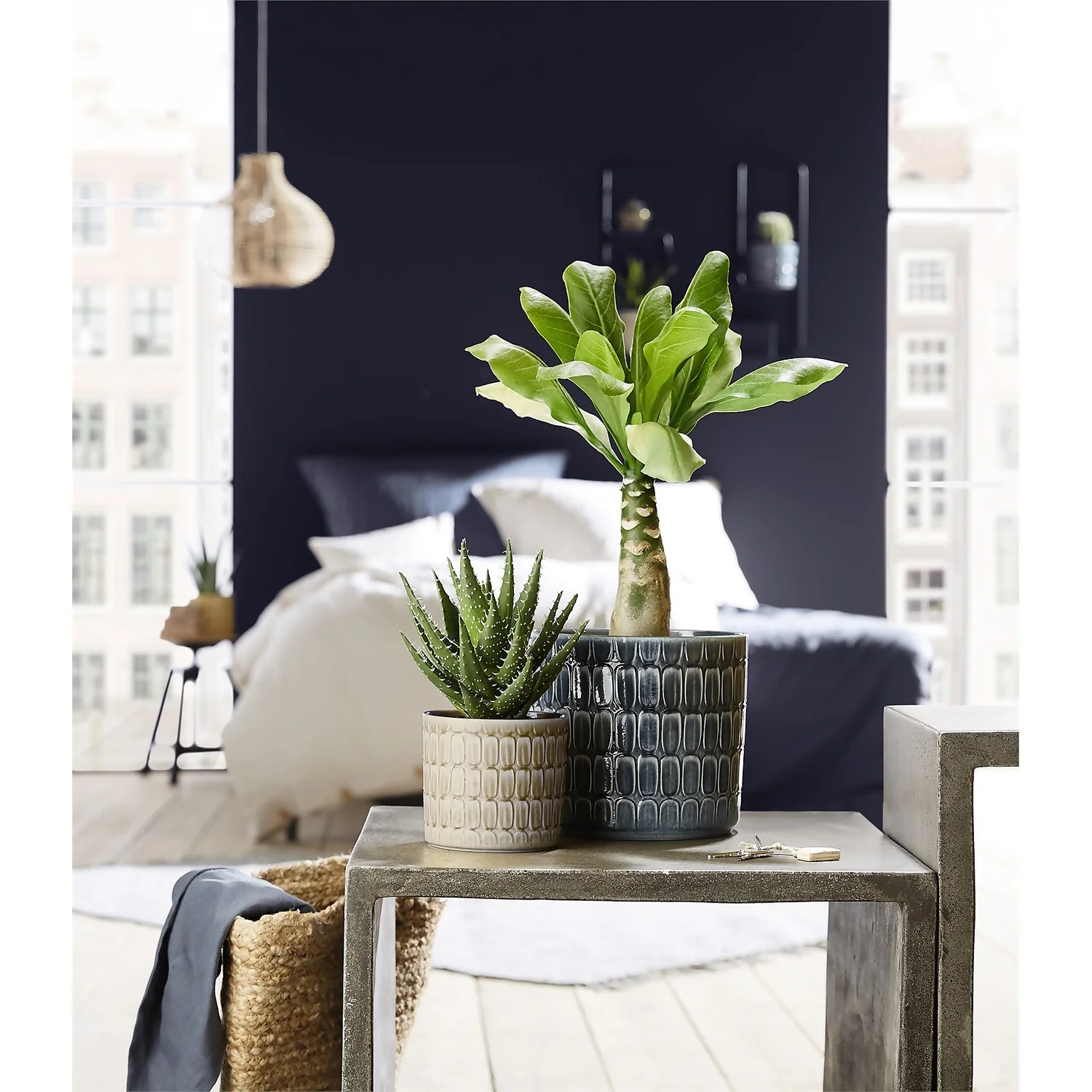 Scheurich Elna Yellow Ceramic Pot - 16cm 5 Scheurich Elna Yellow Ceramic Pot - 16cm - Image 3