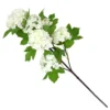 Viburnum - White 1 Viburnum - White -Garden Care Shop 12913557 8544866647480637