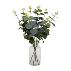 Eucalyptus In Glass Vase 5 Eucalyptus In Glass Vase -Garden Care Shop 12940887 7894893782693229