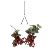 Hanging Star With Foliage And Berries -Garden Care Shop 13027994 1864893782771937