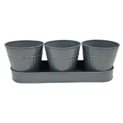 Zinc Ribbed Herb Pots & Tray -Garden Care Shop 13193962 4194933502656404