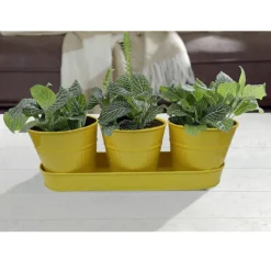 Zinc Ribbed Herb Pots & Tray -Garden Care Shop 13193962 8744933502628279