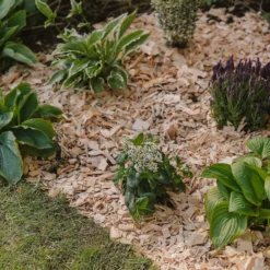 Westland Rustic Wood Chips - 60L 8 Westland Rustic Wood Chips - 60L -Garden Care Shop 13280769 1564929084866478