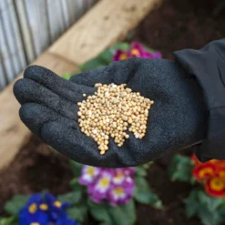 Miracle-Gro Premium All Purpose Continuous Release Plant Food 900G 8 Miracle-Gro Premium All Purpose Continuous Release Plant Food 900G -Garden Care Shop 13308222 9885012580990969