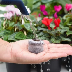 Coco & Coir Seed Germination Dots - 40mm 9 Coco & Coir Seed Germination Dots - 40mm -Garden Care Shop 13487129 3894919981363337