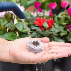 Coco & Coir Seed Germination Dots - 40mm 10 Coco & Coir Seed Germination Dots - 40mm -Garden Care Shop 13487129 7814919981385408