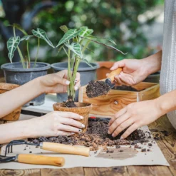 Coco & Coir Round Fibre Pot - 20cm -Garden Care Shop 13487130 4344931201157651