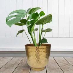 Hammered Brass Indoor Plant Pot - 16cm -Garden Care Shop 13887185 1304999810003221
