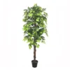 Artificial Ficus Tree - 180cm -Garden Care Shop 13944156 1045014600682835