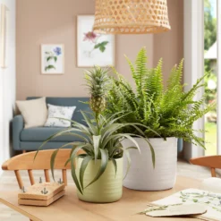 Scheurich Ripple White Indoor Pot - 20cm 7 Scheurich Ripple White Indoor Pot - 20cm -Garden Care Shop 13953260 1154987120198644