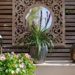 Chiswick Textured Pot Black - 32cm -Garden Care Shop 13973634 2915011238297361