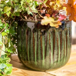 Chiswick Running Pot Green - 18cm -Garden Care Shop 13973646 1195011239154089