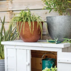 Suva Hammered Pot Copper - 31cm -Garden Care Shop 13973652 1145011805950221